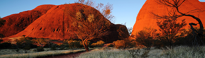 Best Practices: Acknowledgement of Country